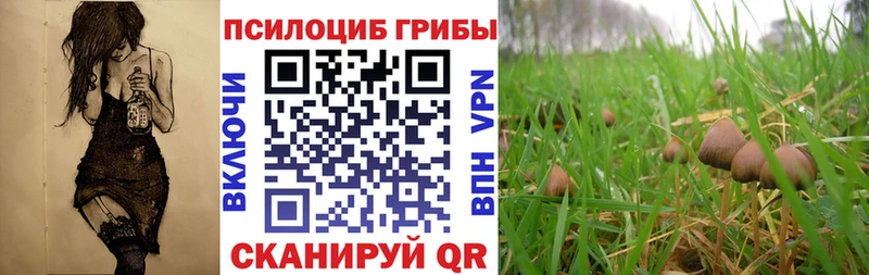 Галлюциногенные грибы Cubensis Кирсанов